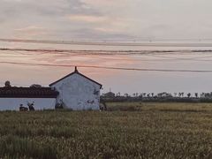 -小陆莲花蟹园农家乐(莲花岛店)