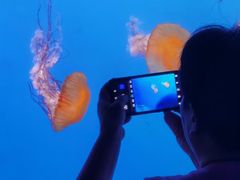 -福州罗源湾海洋世界旅游区