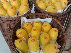 -OLD TREE老树咖啡·西餐厅(台山人工湖店)