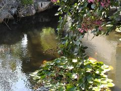 -苏州冶园园林民宿(太湖西山风景区店)