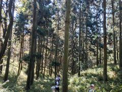 -溪口商量岗景区