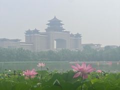 -莲花池公园