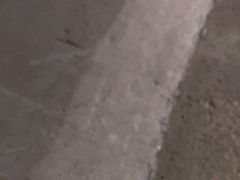 -伍山石窟