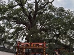 -新安江山水画廊风景区