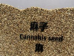 -隋唐大运河文化博物馆