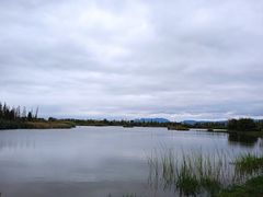 -呈贡滇池生态湿地公园