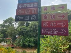 -天鹿湖森林公园