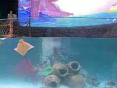 -沈阳海洋探索中心