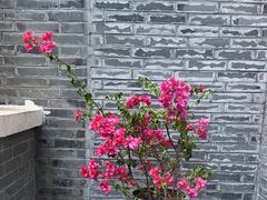 -花锦堂·隐庐