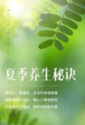 -雅曼妮spa美容养生