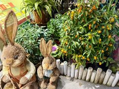 -FEI FEI FLOWER鲜花店·气球派对·宝宝宴布置(虹口德必运动Loft店)