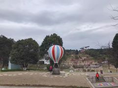 -铁山坪森林公园