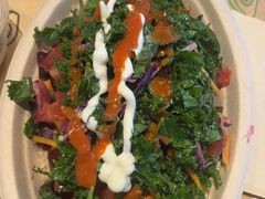 -油梨树 AVOCADO TREE(亮马桥店)