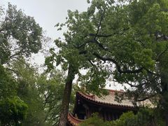 -南岳衡山风景名胜区-南岳大庙