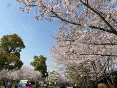 -广富林郊野公园