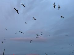 -星海广场