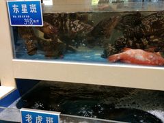 -双井轩(双井店)