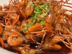 -桂满陇·海市蜃楼·黑金(国金店)