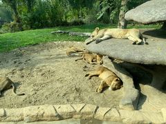 -北京野生动物园