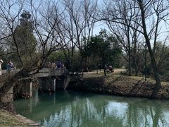 -西溪国家湿地公园