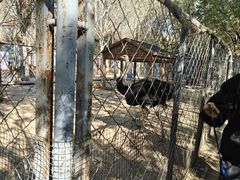 -长白岛森林公园