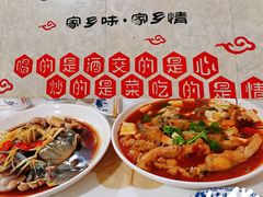 -煲来饱去冷水鱼