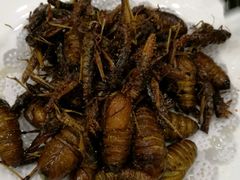-白洋淀灶台鱼(名佳花园店)