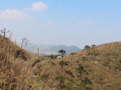 -山东五莲大青山风景区