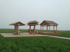 -红海滩国家风景廊道