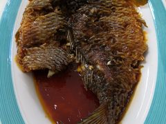 罾蹦鲤鱼-红旗饭庄