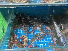 -宾朋海鲜饭庄(兴海路店)