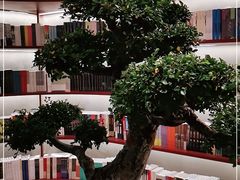 -二酉书店TOYOU BOOKS