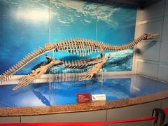 -自贡恐龙博物馆