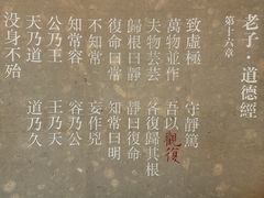 -上海观复博物馆
