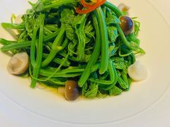 丝瓜尖-粤界(望京金辉店)