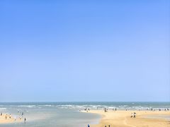 -日照海滨国家森林公园