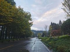 -九宫山风景区