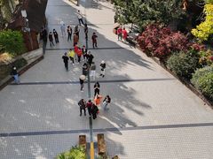 -墨江北回归线标志园