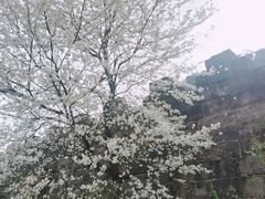 -金堂县云顶石城风景区