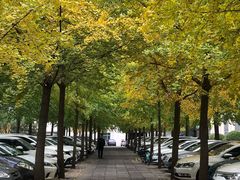 -东丽温泉羽毛球