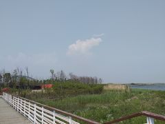 -春花秋色城市公园