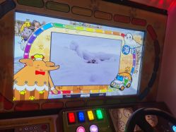 -卡通尼·Safari非洲探索乐园·生日会(金桥国际商业广场店)