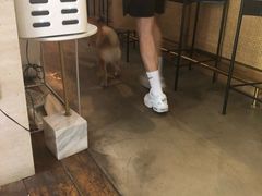 -the rug 飞毯 (朝阳公园店)