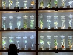 -南京中医药大学(仙林校区)