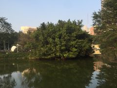 -人民公园(罗湖区)