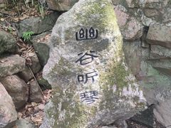 -绮园景区