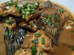 红烧有机鱼尾-全乐鱼馆·淳牌有机鱼直营店