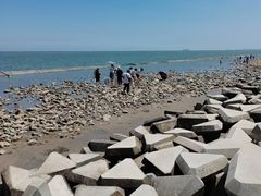 -天津东疆湾沙滩景区