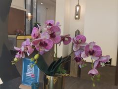 -楚禾宴·家宴(光谷大道店)