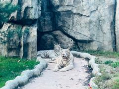 -北京野生动物园